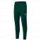 Pantalon d'entraînement Archen